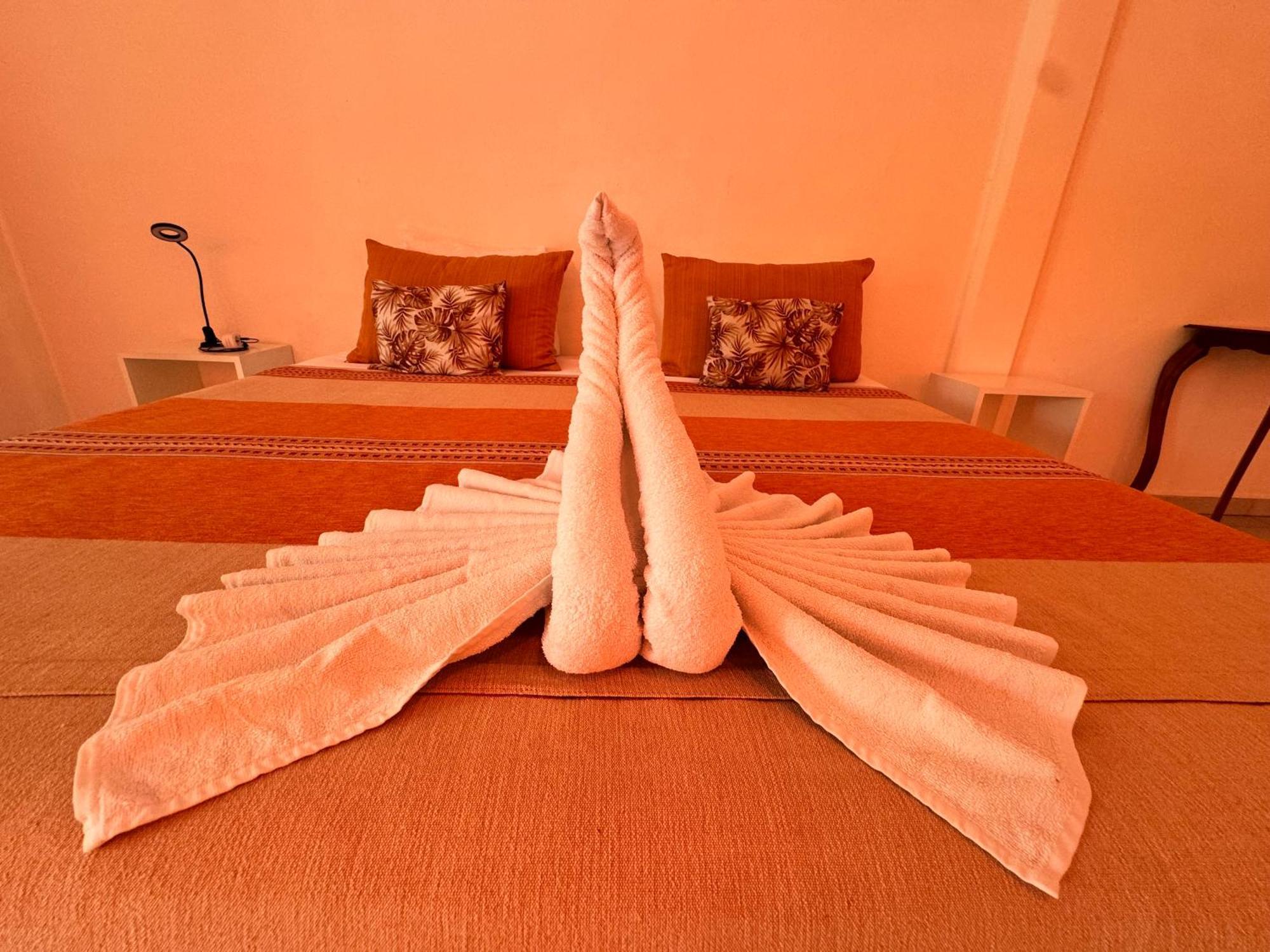 "Vainilla B&B" - Stylish Comfort In Playa Del Carmen Zewnętrze zdjęcie
