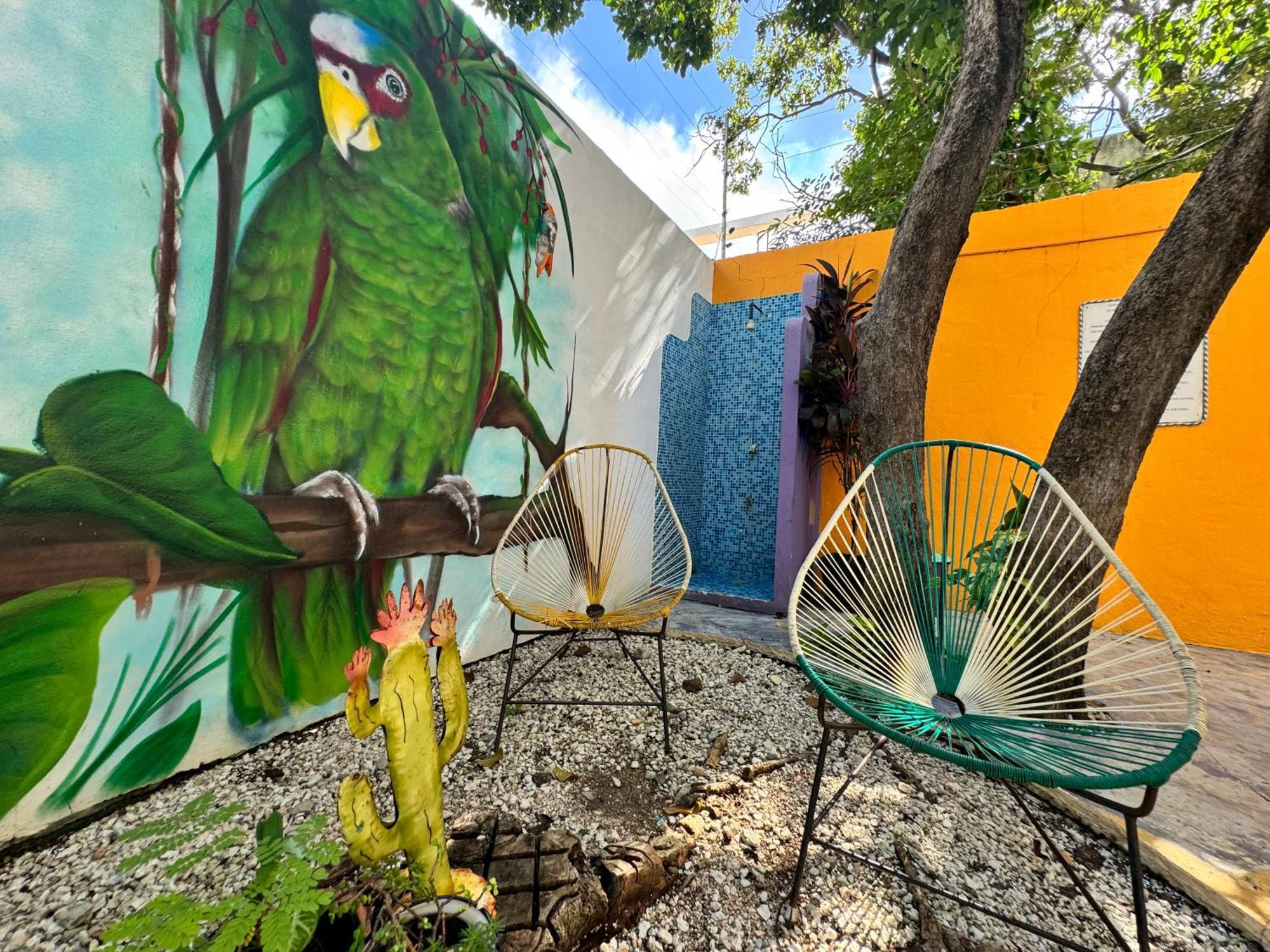 "Vainilla B&B" - Stylish Comfort In Playa Del Carmen Zewnętrze zdjęcie