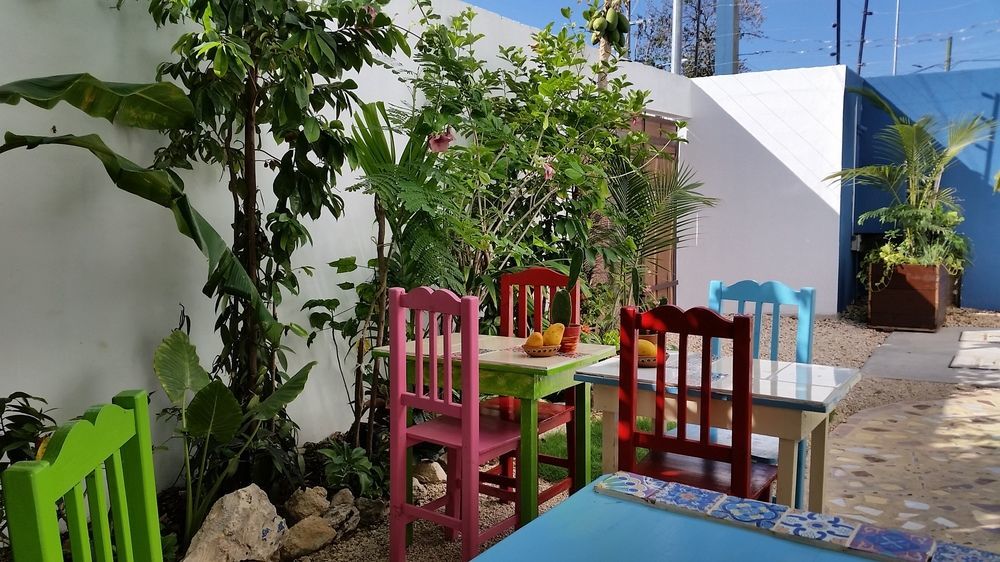 "Vainilla B&B" - Stylish Comfort In Playa Del Carmen Zewnętrze zdjęcie