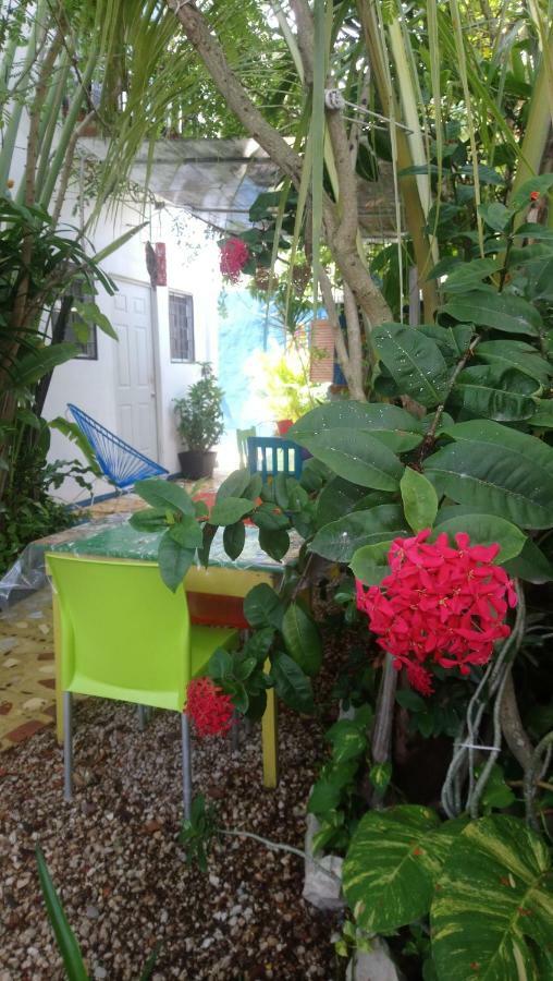 "Vainilla B&B" - Stylish Comfort In Playa Del Carmen Zewnętrze zdjęcie