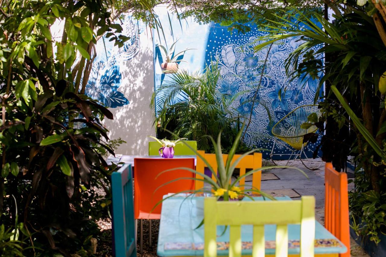 "Vainilla B&B" - Stylish Comfort In Playa Del Carmen Zewnętrze zdjęcie